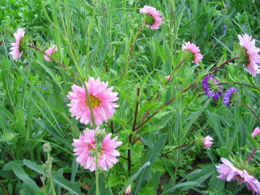 �����ຣ�Ļ����ݲ�