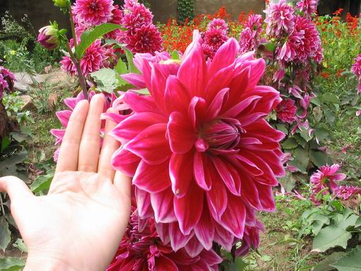 �����ຣ�Ļ����ݲ�