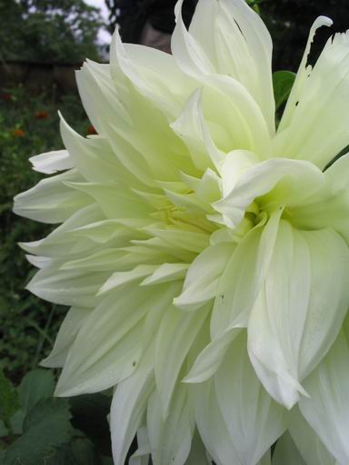 �����ຣ�Ļ����ݲ�