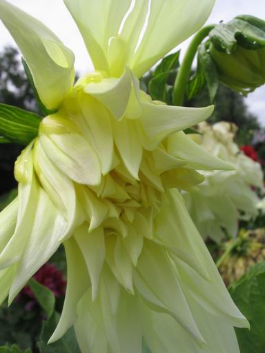 �����ຣ�Ļ����ݲ�