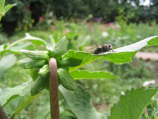 �����ຣ�Ļ����ݲ�