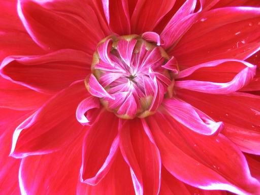 �����ຣ�Ļ����ݲ�