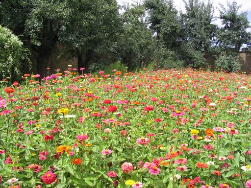 �����ຣ�Ļ����ݲ�