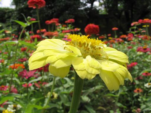 �����ຣ�Ļ����ݲ�