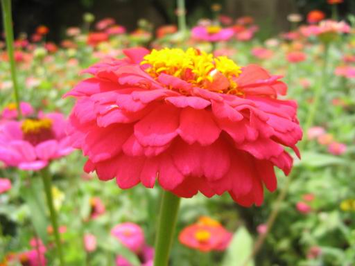 �����ຣ�Ļ����ݲ�