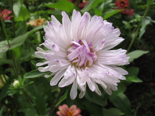 �����ຣ�Ļ����ݲ�