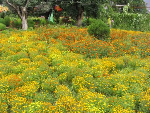 �����ຣ�Ļ����ݲ�