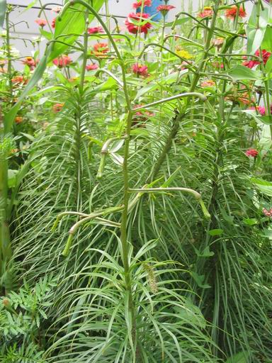 �����ຣ�Ļ����ݲ�