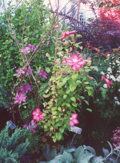 ����������