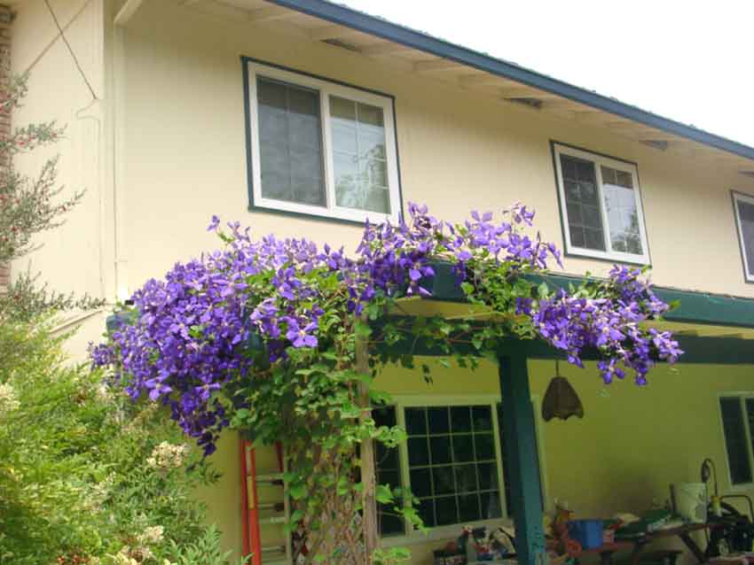 ����������