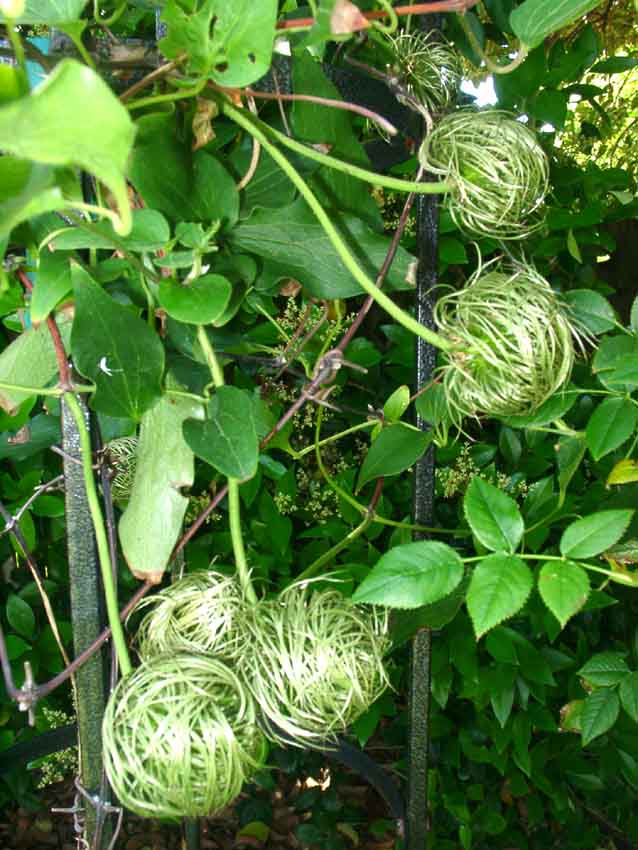 ����������