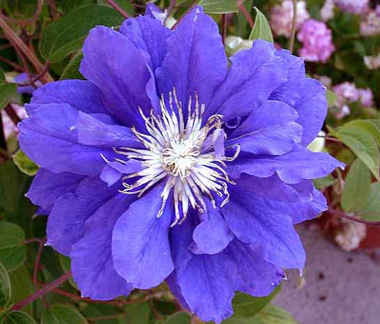 ����������