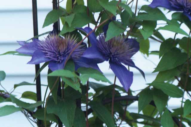 ����������