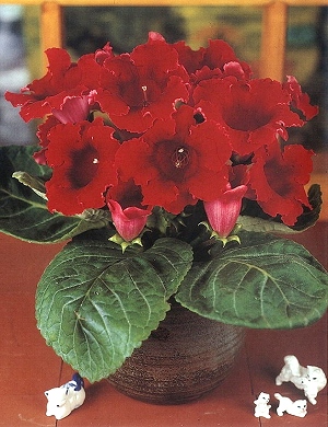 [��ˮ]���ҪȥHKһ�ˣ�����Ҫ��Ҫ��֯һ���Ź���