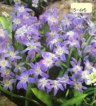 [��ˮ]���ҪȥHKһ�ˣ�����Ҫ��Ҫ��֯һ���Ź���