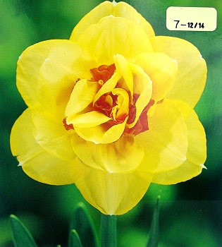 [��ˮ]���ҪȥHKһ�ˣ�����Ҫ��Ҫ��֯һ���Ź���