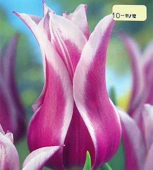 [��ˮ]���ҪȥHKһ�ˣ�����Ҫ��Ҫ��֯һ���Ź���