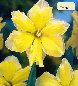 [��ˮ]���ҪȥHKһ�ˣ�����Ҫ��Ҫ��֯һ���Ź���