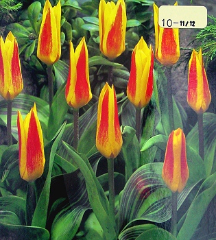 [��ˮ]���ҪȥHKһ�ˣ�����Ҫ��Ҫ��֯һ���Ź���