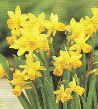 [��ˮ]���ҪȥHKһ�ˣ�����Ҫ��Ҫ��֯һ���Ź���