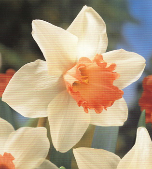 [��ˮ]���ҪȥHKһ�ˣ�����Ҫ��Ҫ��֯һ���Ź���