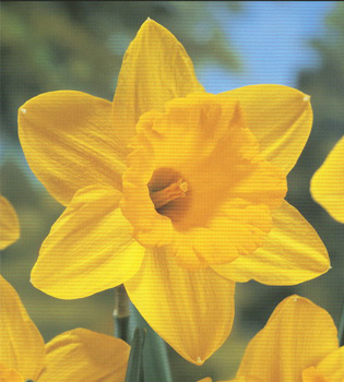 [��ˮ]���ҪȥHKһ�ˣ�����Ҫ��Ҫ��֯һ���Ź���