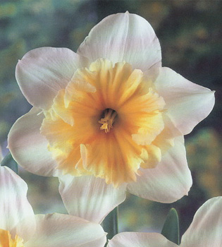 [��ˮ]���ҪȥHKһ�ˣ�����Ҫ��Ҫ��֯һ���Ź���