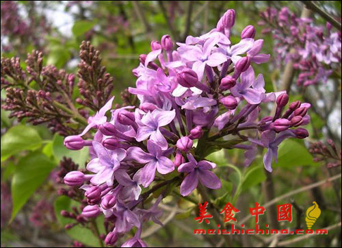 �ݻ����Ŷӣ���л�������������ӵĻ��ѣ�