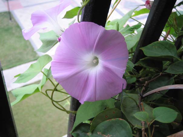 [��ͼ]��̨�����㱨(��������PP)