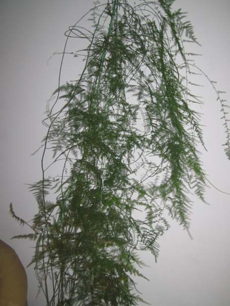 [��ͼ]��̨�����㱨(��������PP)