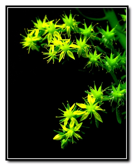 [����]ʲô�����