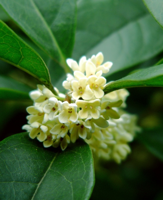 [����]ʲô�����