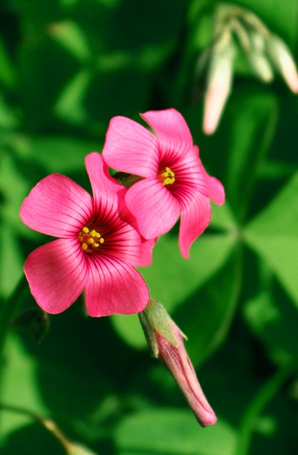 [����]ʲô�����