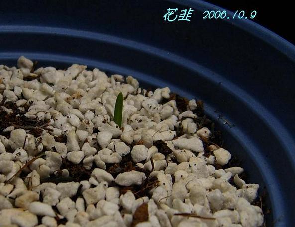 [��ͼ]��ѿ�����ǡ����غ컨��