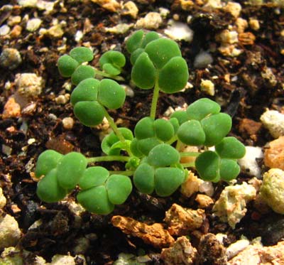 ���ʴ�ҵ���������ѿ����