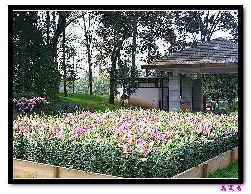 Ԥ��:ϲ���ٺϵ�TX׼���÷������,����Ҫ�Ŷ���