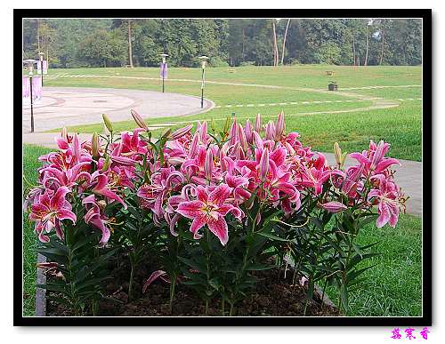 Ԥ��:ϲ���ٺϵ�TX׼���÷������,����Ҫ�Ŷ���