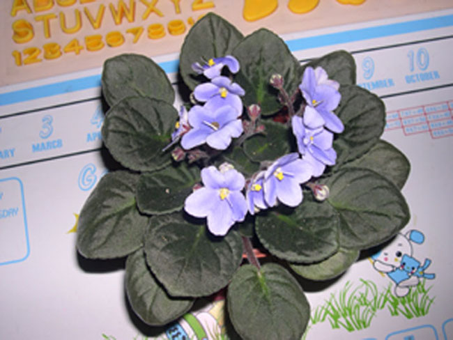 �Ҽҵ���������ӵ�е����������ڱ𴦰��ң�