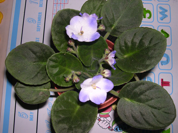 �Ҽҵ���������ӵ�е����������ڱ𴦰��ң�