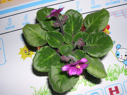 �Ҽҵ���������ӵ�е����������ڱ𴦰��ң�