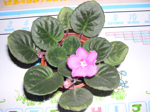 �Ҽҵ���������ӵ�е����������ڱ𴦰��ң�