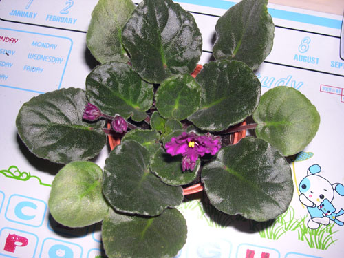 �Ҽҵ���������ӵ�е����������ڱ𴦰��ң�