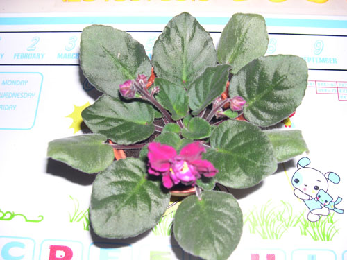 �Ҽҵ���������ӵ�е����������ڱ𴦰��ң�