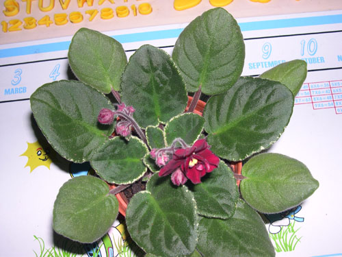 �Ҽҵ���������ӵ�е����������ڱ𴦰��ң�