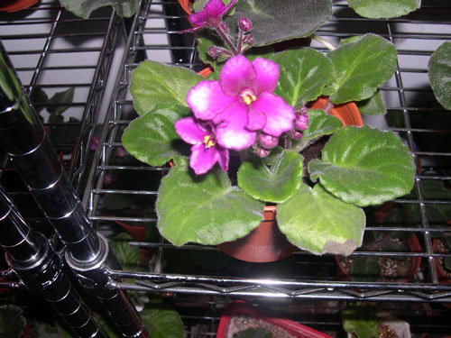 �Ҽҵ���������ӵ�е����������ڱ𴦰��ң�