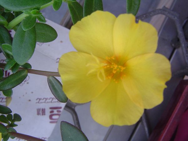 �ݻ����Ŷӣ�P8����ͼ)