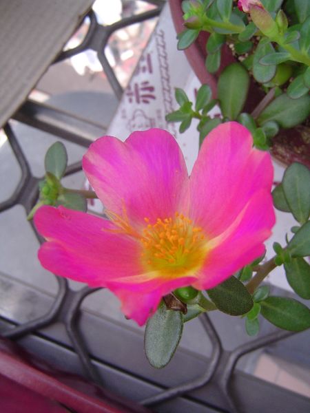 �ݻ����Ŷӣ�P8����ͼ)