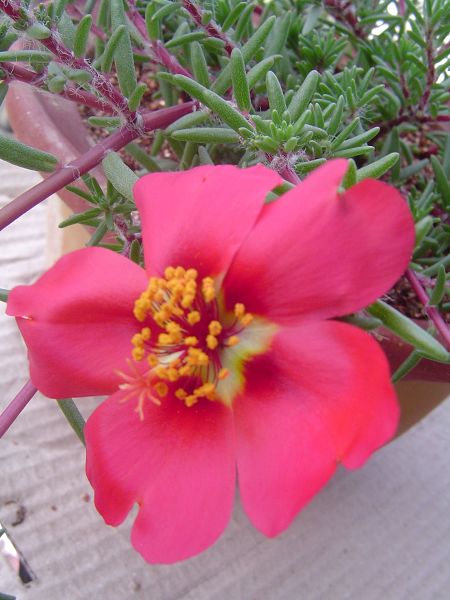 �ݻ����Ŷӣ�P8����ͼ)