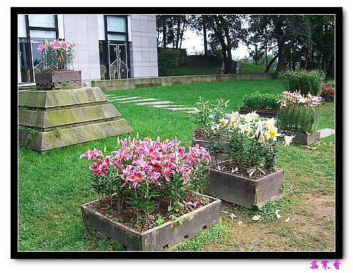 �Ŷ�:ʯ����İٺϻ���(���÷�����߲��ܽ�)