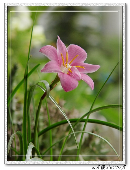 �۵ġ��Ƶġ��׵ġ�����������